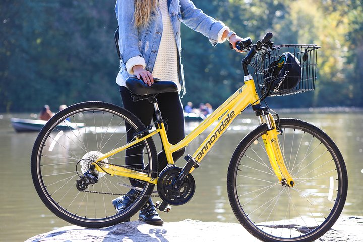 Explore the lush pathways of Central Park on a bike discovering scenic views and hidden gems at your own pace. An ideal way to see New York City from a different perspective.
